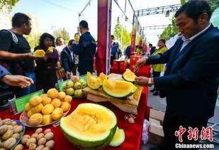 吃瓜部落网,网络舆论场中的“瓜田”盛景