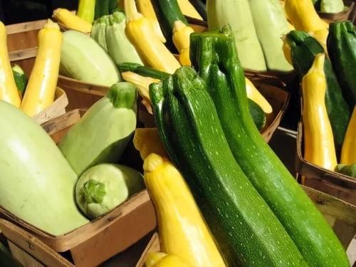 吃瓜养杨,揭秘网络红人的崛起之路