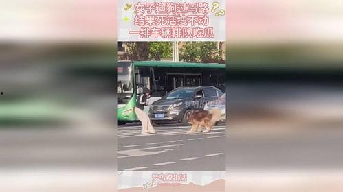 吃瓜的车子排队,揭秘热门事件现场盛况