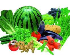 种瓜吃瓜种菜吃菜,种瓜吃瓜，种菜吃菜的生活哲学