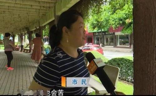 吃瓜群众类型视频,不同类型视频背后的心理解析
