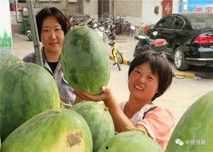 灯仔吃瓜,揭秘娱乐圈那些不为人知的幕后故事