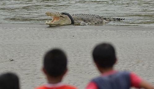 邢台吃瓜死亡,悲剧背后的食品安全警示