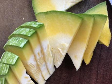 吃骨头瓜,吃骨头瓜的奇妙之旅