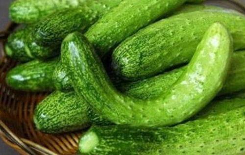 曹庄吃瓜,一场别开生面的吃瓜盛宴  第3张