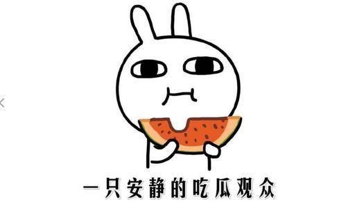 免费吃瓜啥意思,网络热词背后的文化现象 第2张 免费吃瓜啥意思,网络热词背后的文化现象 第2张