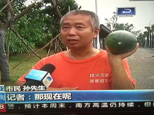 真实吃瓜热门事件,一场真实吃瓜热门事件的背后真相