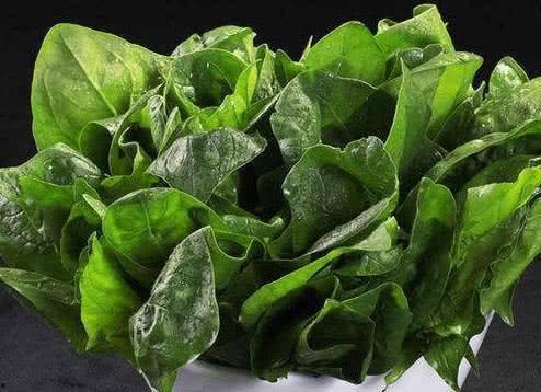 铃铛女朋友吃瓜,揭秘娱乐圈的甜蜜瓜田