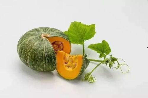 好朋友见面吃瓜,共享瓜界盛宴 第2张 好朋友见面吃瓜,共享瓜界盛宴 第2张