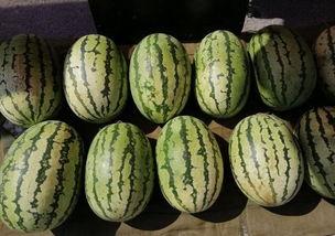 两毛钱带你吃瓜  第3张