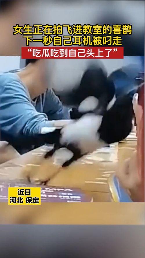 女子吃瓜被撞,意外事件引发网友热议  第2张