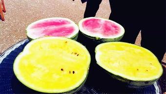 吃瓜爆料广西,揭秘当地热点事件背后的真相 第1张 吃瓜爆料广西,揭秘当地热点事件背后的真相 第1张