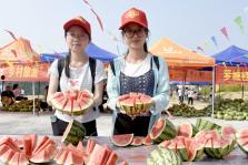 吃瓜爆料广西,揭秘当地热点事件背后的真相 第3张 吃瓜爆料广西,揭秘当地热点事件背后的真相 第3张