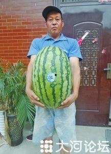 51吃瓜必吃大瓜,带你领略娱乐圈风云变幻 第3张 51吃瓜必吃大瓜,带你领略娱乐圈风云变幻 第3张