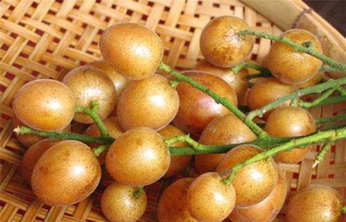 黄皮角瓜怎么吃 第3张 黄皮角瓜怎么吃 第3张