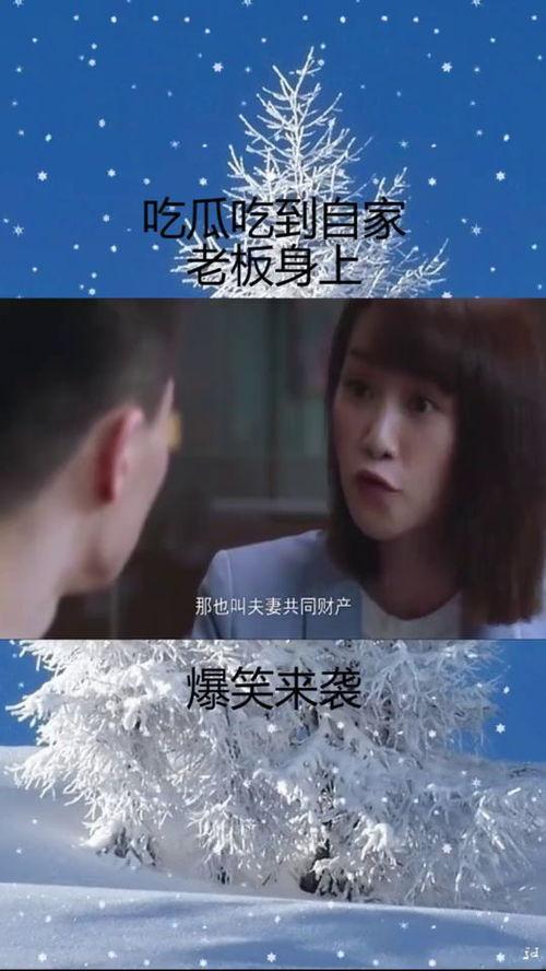 吃瓜好笑小说,揭秘吃瓜群众的欢乐盛宴  第3张