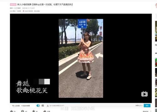 b站吃瓜之歌,揭秘网络热点的狂欢与反思