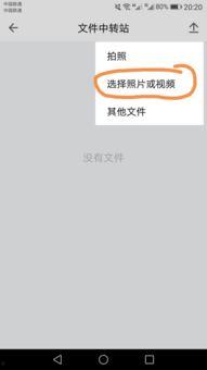 吃瓜中转站QQ群,网络社交新趋势下的“瓜田”盛景